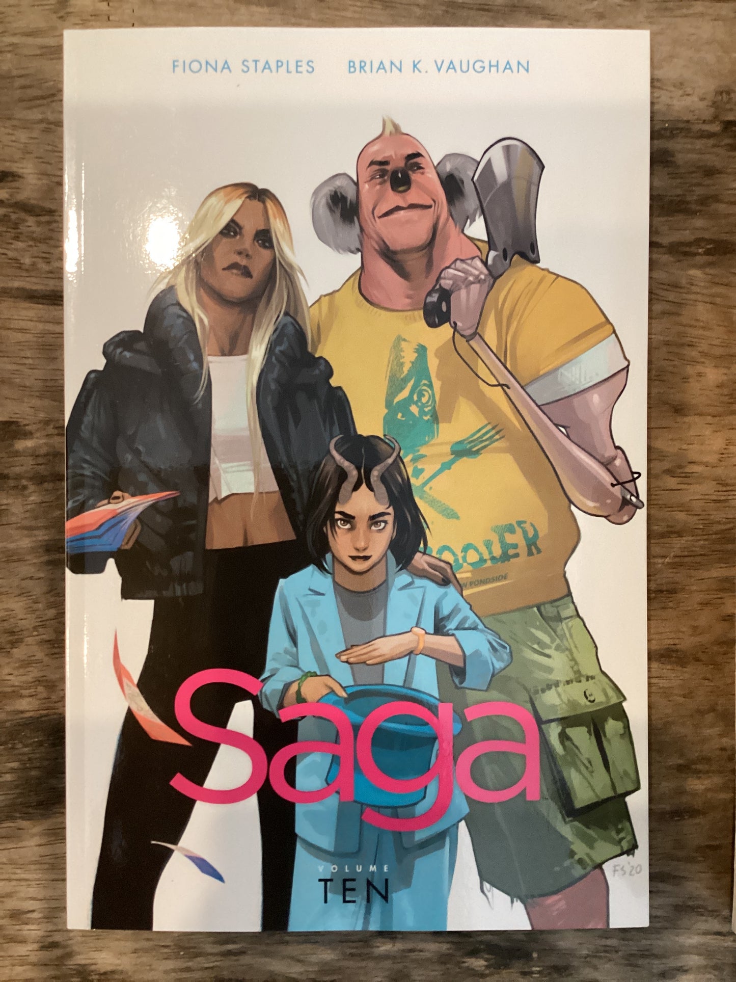 Saga (Vol. 10)