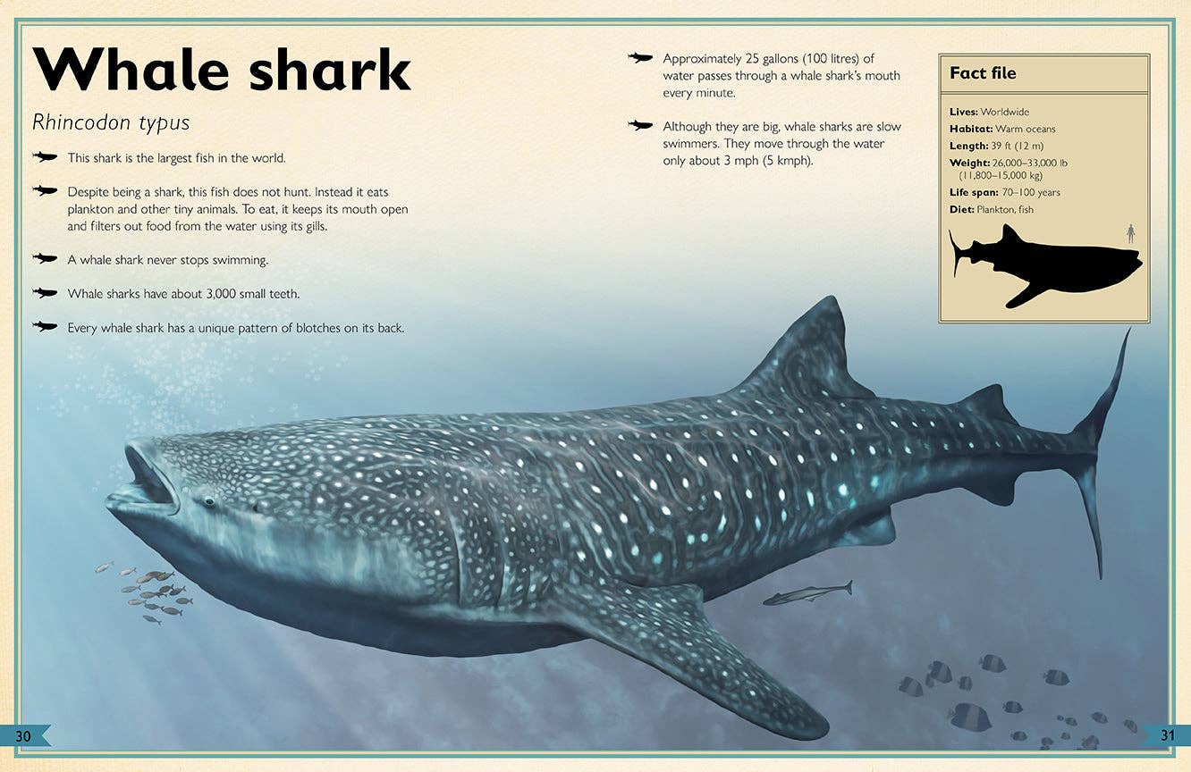 Insight Editions - The Magnificent Book of Ocean Creatures