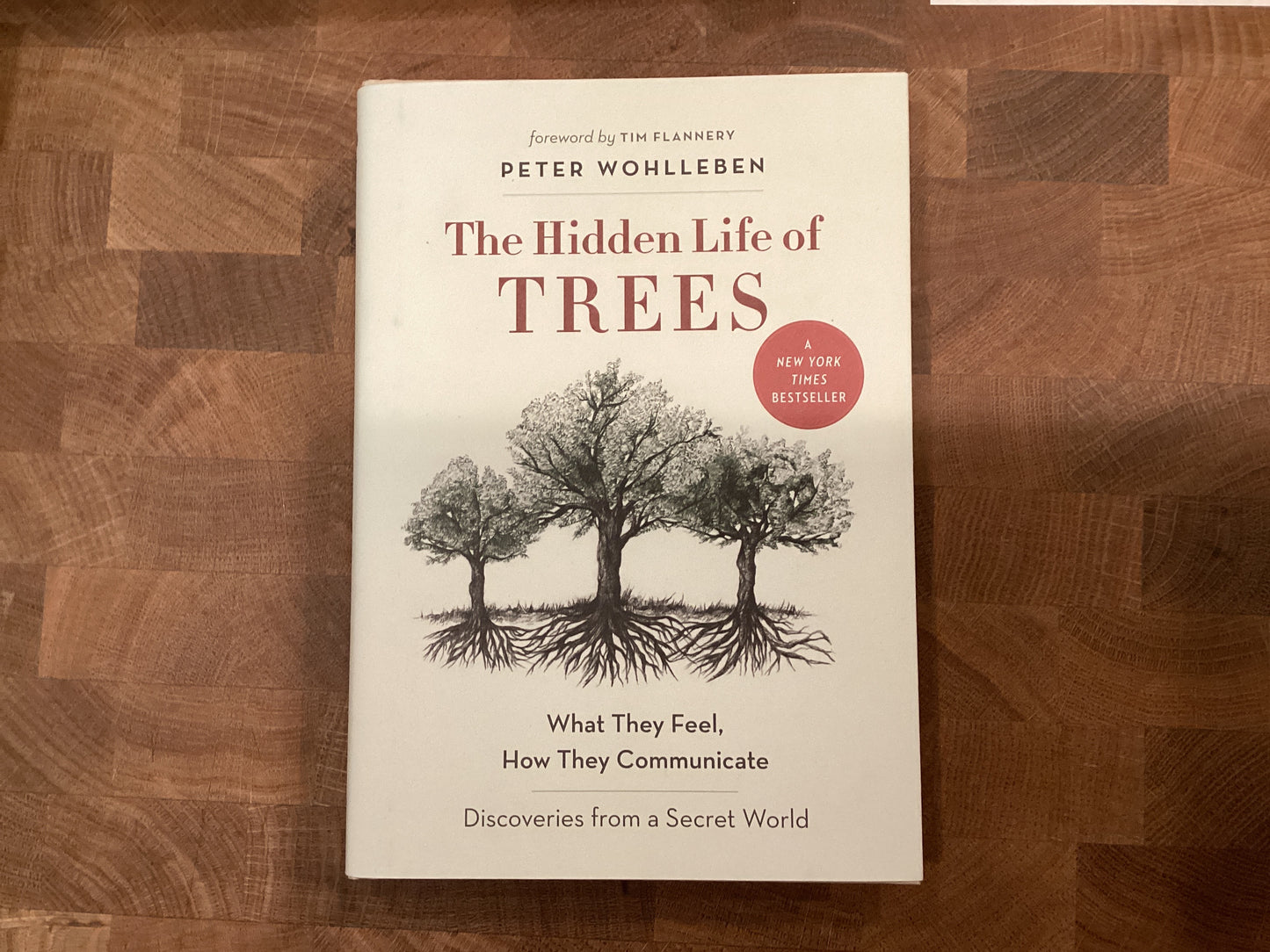 The Hidden Life of Trees; What They Feel, How They Communicate; Discoveries from a Secret World