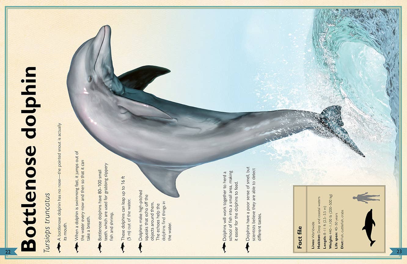 Insight Editions - The Magnificent Book of Ocean Creatures