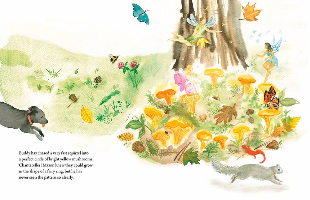 Independent Publishers Group - Mason Goes Mushrooming