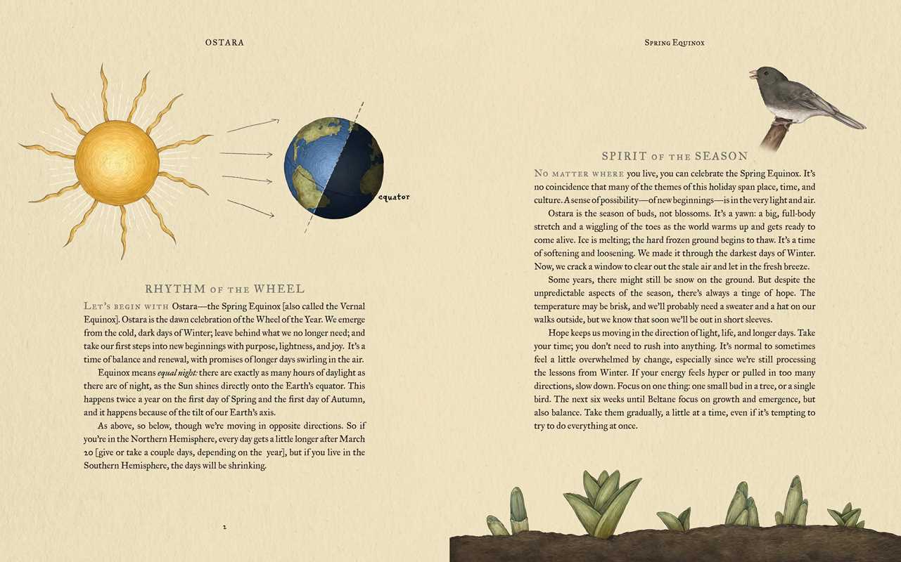 Simon & Schuster - Wheel of the Year by Fiona  Cook