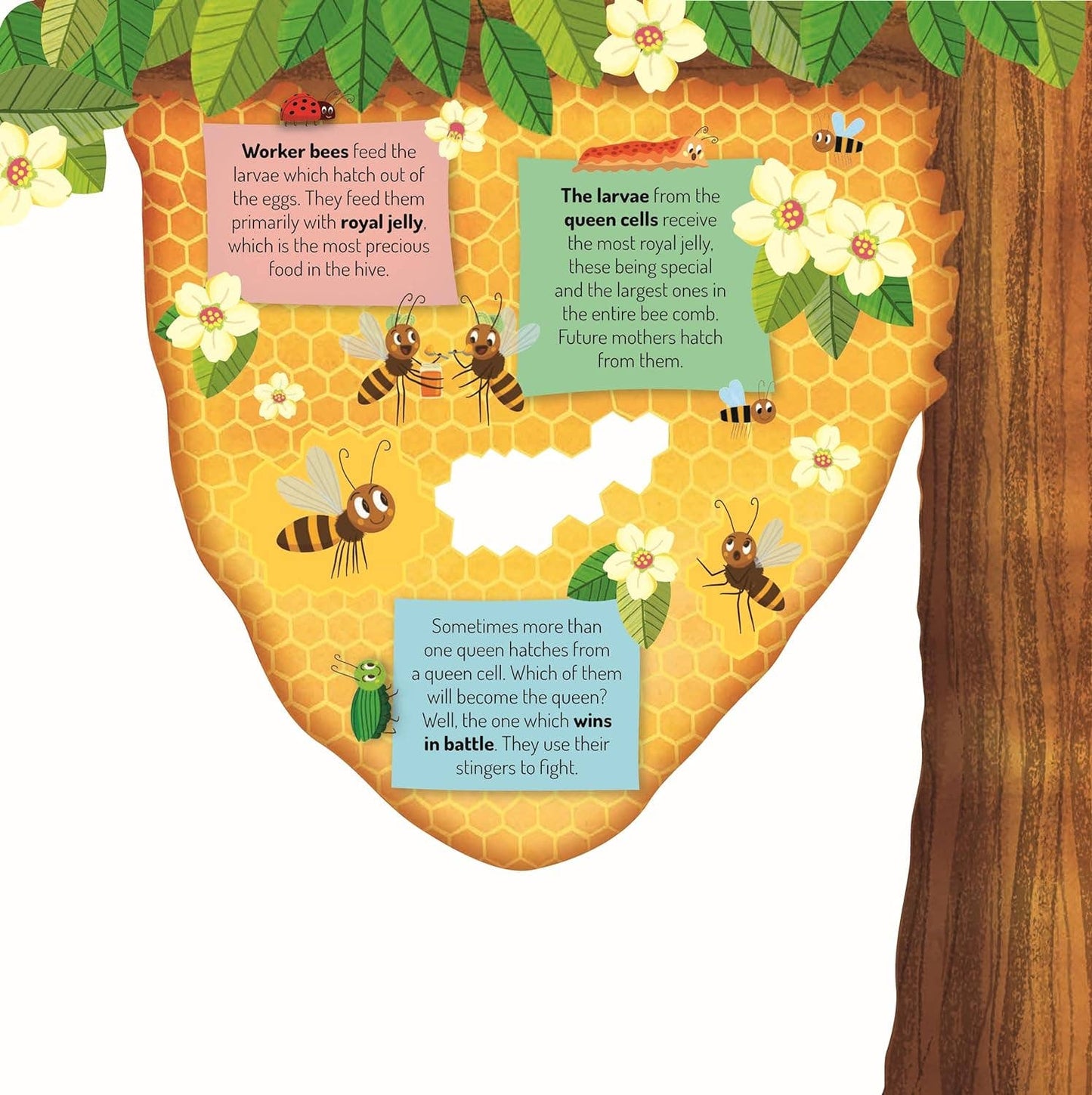Fox Chapel Publishing - Discovering the Busy World of the Beehive-Kid's Picture Book