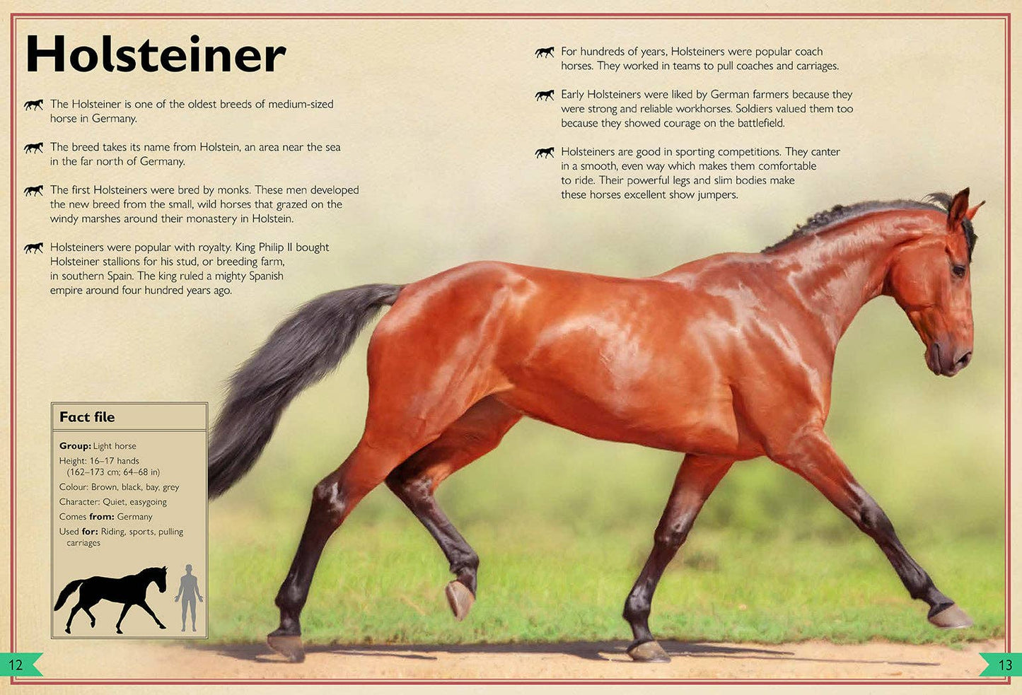 Insight Editions - The Magnificent Book of Horses