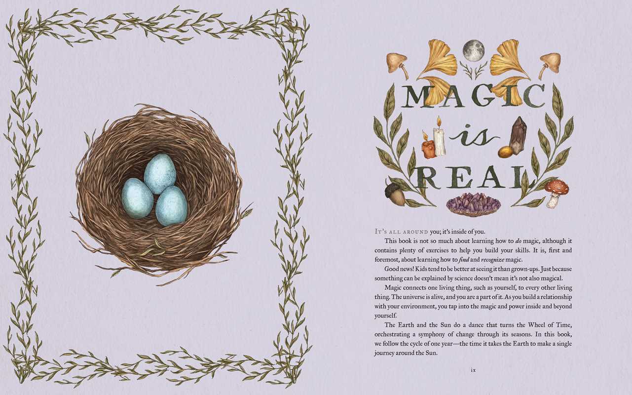Simon & Schuster - Wheel of the Year by Fiona  Cook