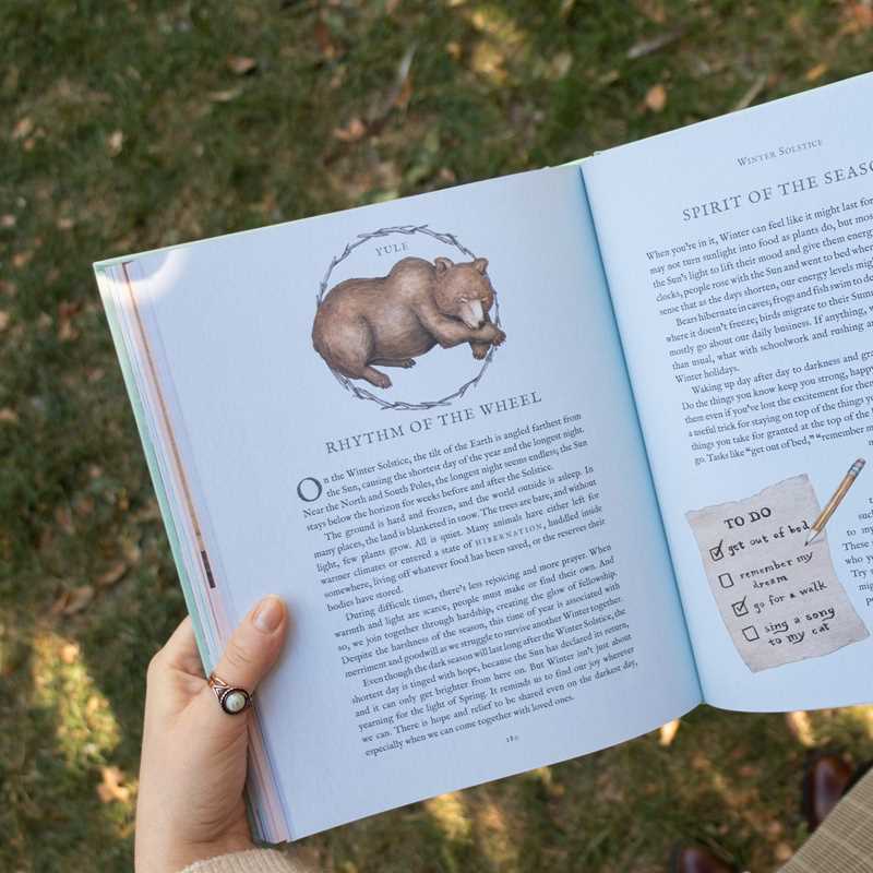 Simon & Schuster - Wheel of the Year by Fiona  Cook