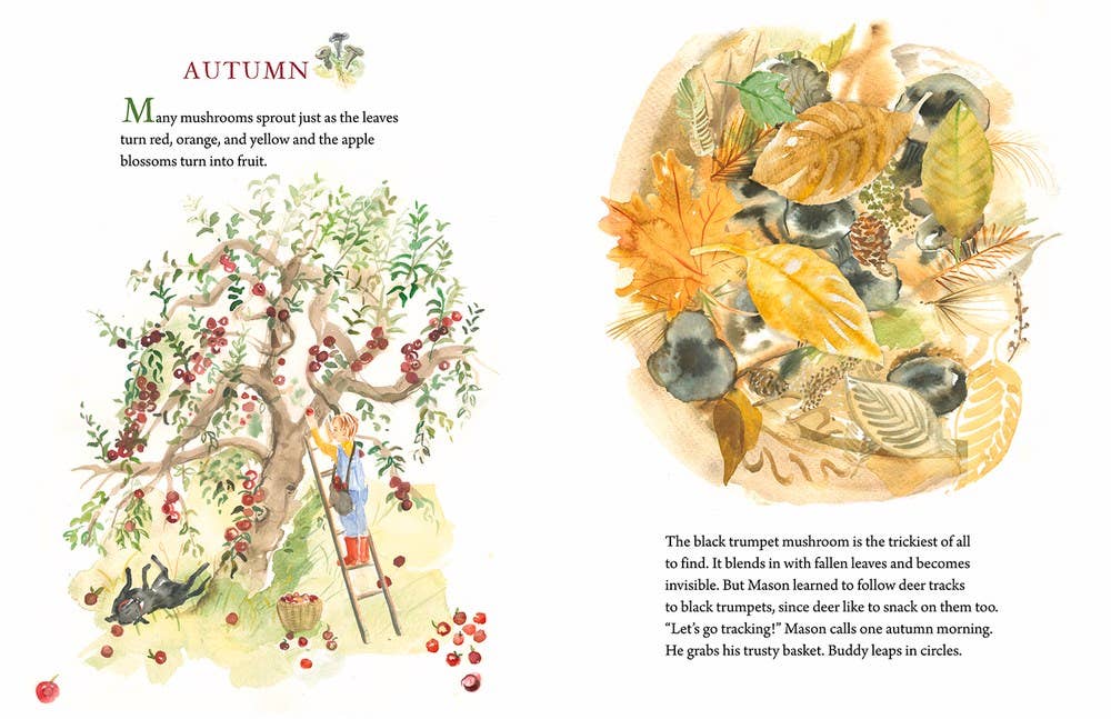 Independent Publishers Group - Mason Goes Mushrooming