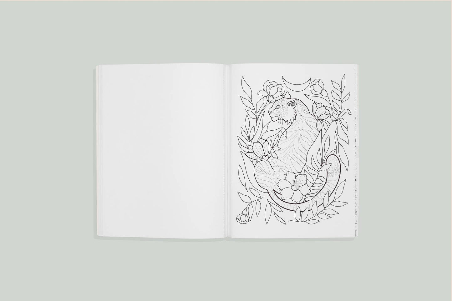 You are Made of Magic: Coloring book with Affirmations