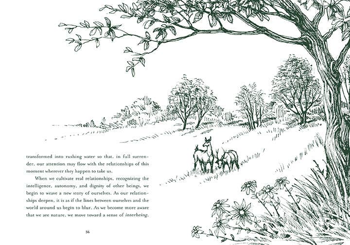 Insight Editions - Healing Trees