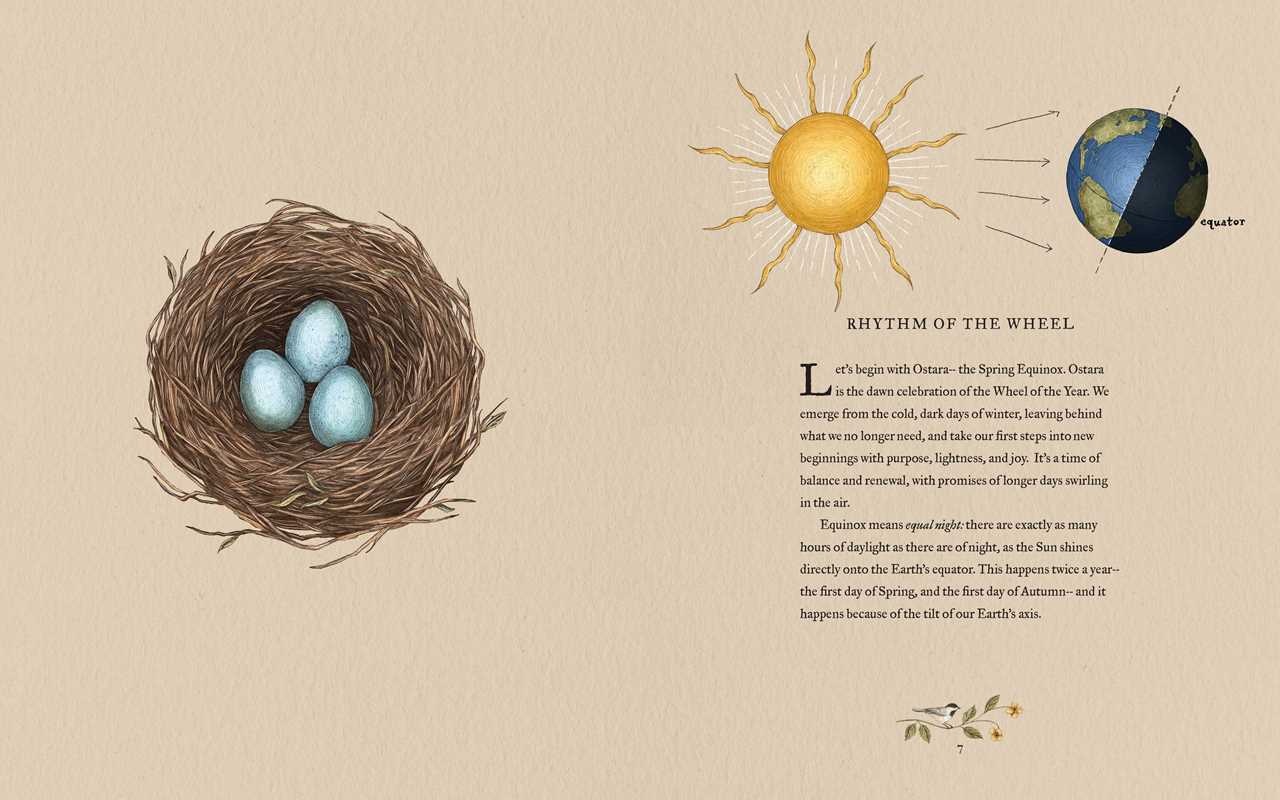 Simon & Schuster - Wheel of the Year by Fiona  Cook