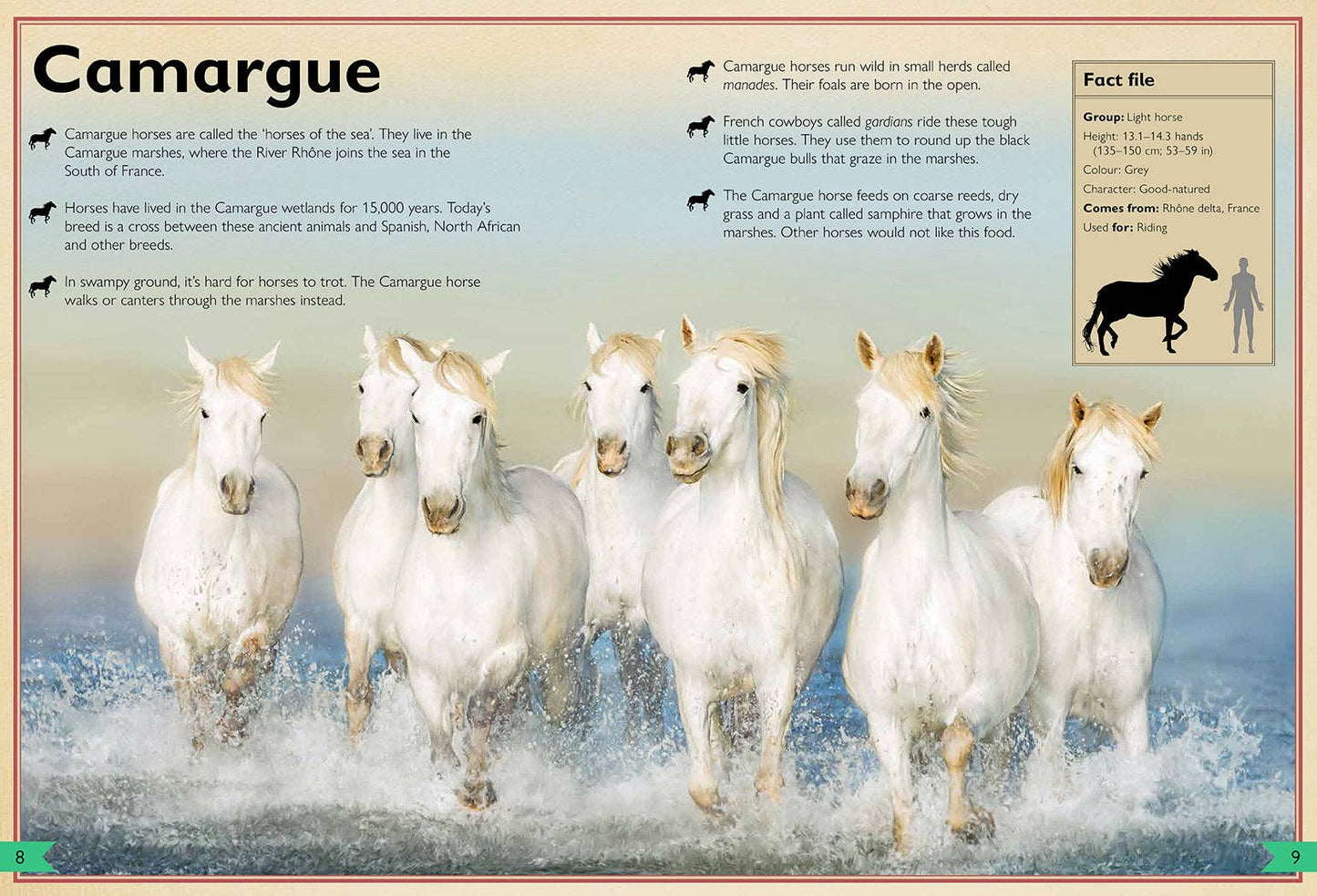 Insight Editions - The Magnificent Book of Horses